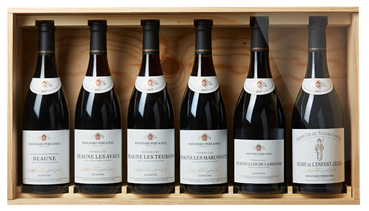 Bouchard A Journey in Beaune Special Case 2019 (6 x 750ml)