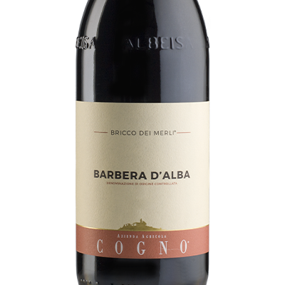 Elvio Cogno Barbera d'Alba DOC "Bricco dei Merli" 2016