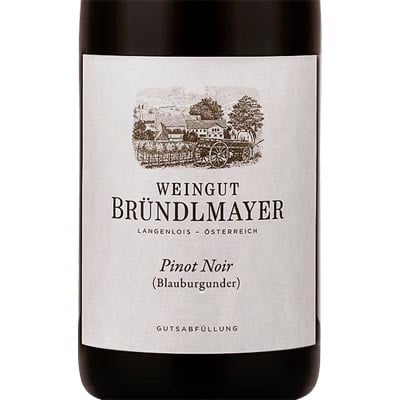 Weingut Brundlmayer Pinot Noir 2021