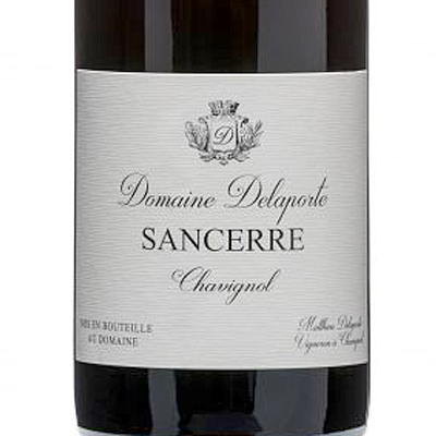 Vincent Delaporte Dom. Sancerre Chavignol Rouge 2020