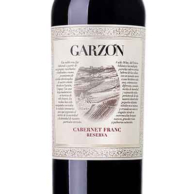Bodega Garzon Reserva Cabernet Franc Uruguay 2020