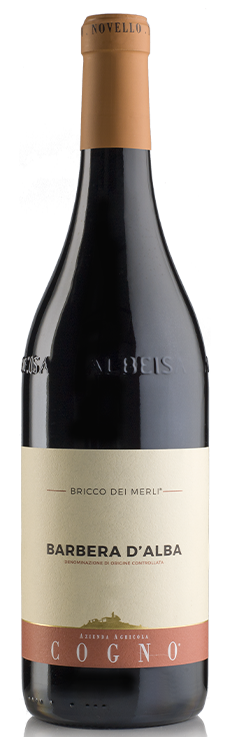Elvio Cogno Barbera d'Alba DOC "Bricco dei Merli" Vertical (2014 to 2018)