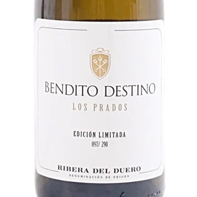 Bendito Destino Los Prados 2023