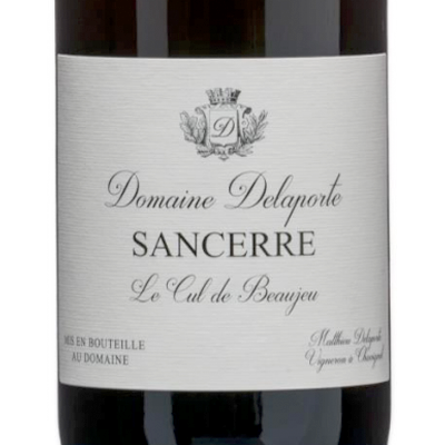 Vincent Delaporte Dom. Sancerre Cul de Beaujeu Rouge 2019