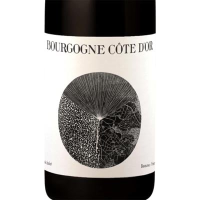 Louis Jadot Bourgogne Cote d'Or Rouge 2021