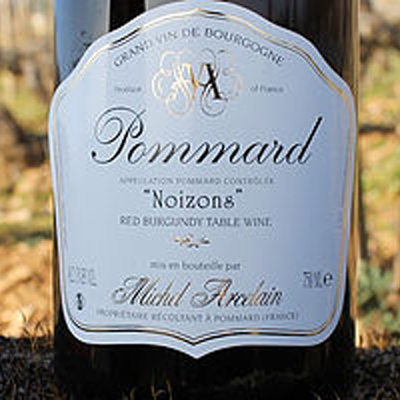 Michel Arcelain Dom. Pommard Les Noizons 2010