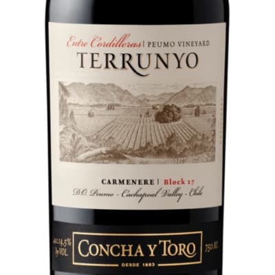 Terrunyo Carmenere by Concha y Toro 2024