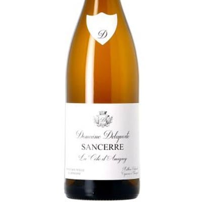 Vincent Delaporte, Sancerre La Cote d'Amigny 2020
